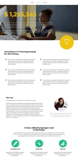 More Details About Our Project - Professionellt Utformad