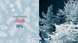 Super Winter Sale - Beautiful WordPress Theme