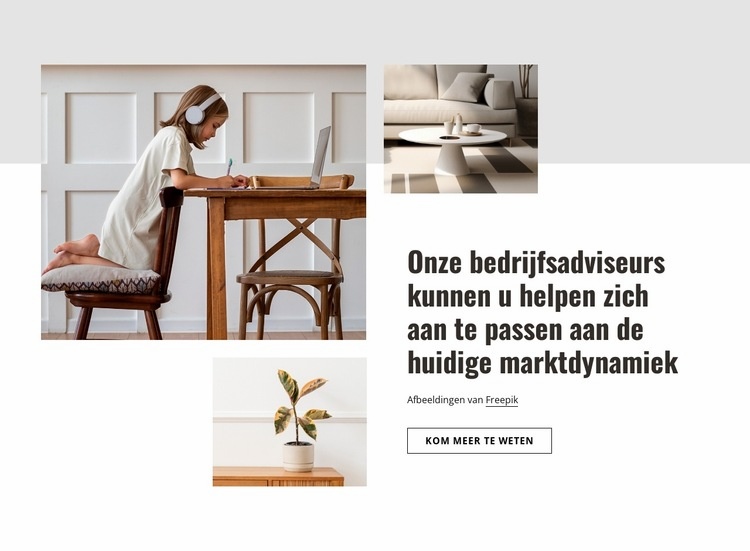 Ontwerp en renovatie van luxe woningen Website ontwerp