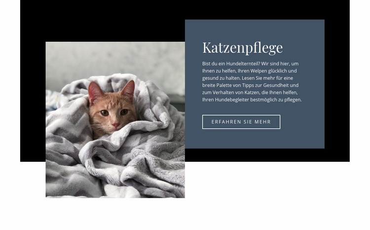 Haustiere kümmern sich Website-Modell