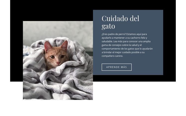 Cuidado de mascotas Creador de sitios web HTML