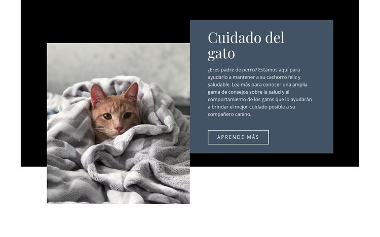 Cuidado de mascotas Diseño de páginas web