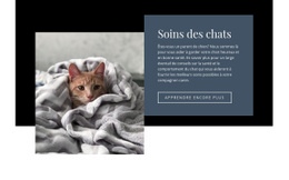 Soins Des Animaux – Modèles En Ligne