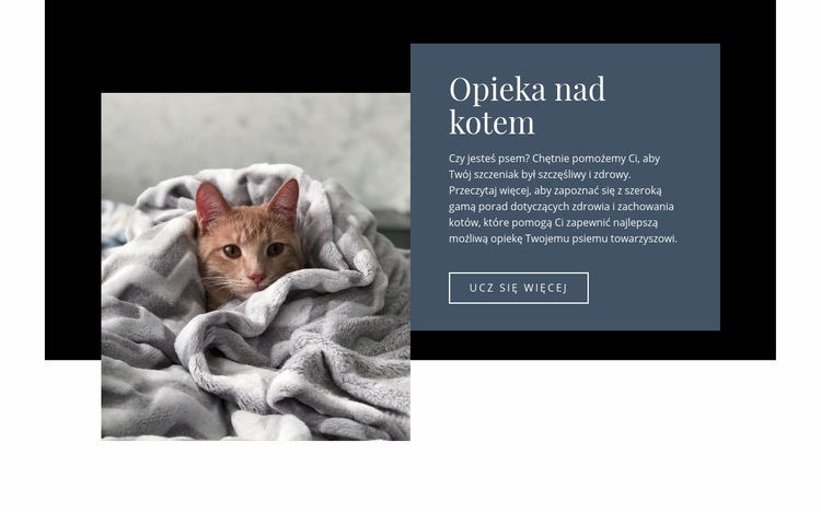 Opieka nad zwierzętami Makieta strony internetowej