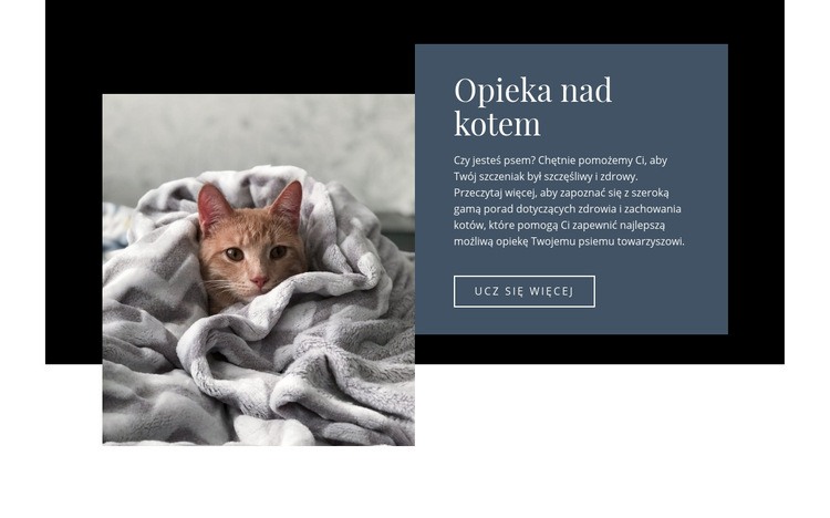 Opieka nad zwierzętami Projekt strony internetowej