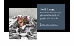 Evcil Hayvan Bakımı -Web Sitesi Modelini Kullanmaya Hazır