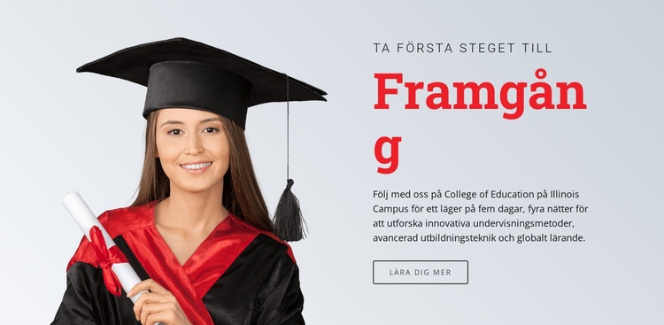 Lärande för framgång WordPress -tema