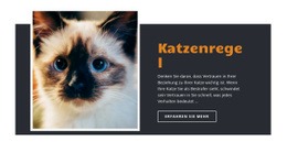 Regeln Und Anleitung Haustier-Website