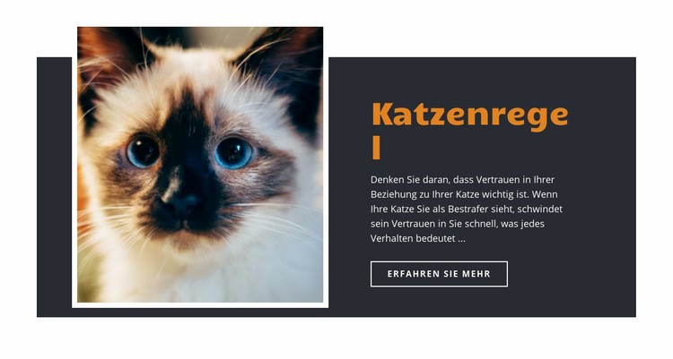 Regeln und Anleitung Website design