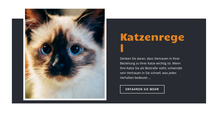 Regeln und Anleitung WordPress-Theme