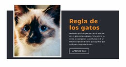 Reglas Y Orientación - Diseño De Sitios Web Profesionales