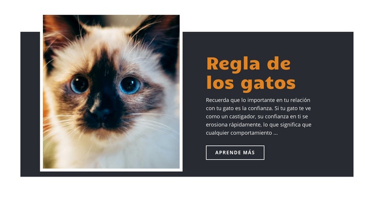 Reglas y orientación Diseño de páginas web