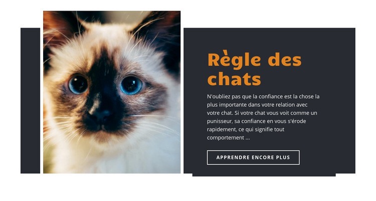 Règles et conseils Conception de site Web