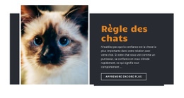 Règles Et Conseils