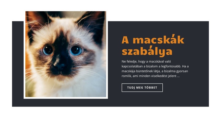 Szabályok és útmutatás Weboldal tervezés