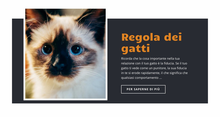 Regole e guida Modello Joomla