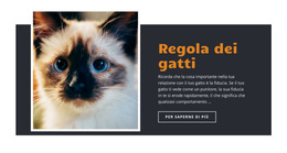 Regole E Guida - Modello Di Sito Web Semplice