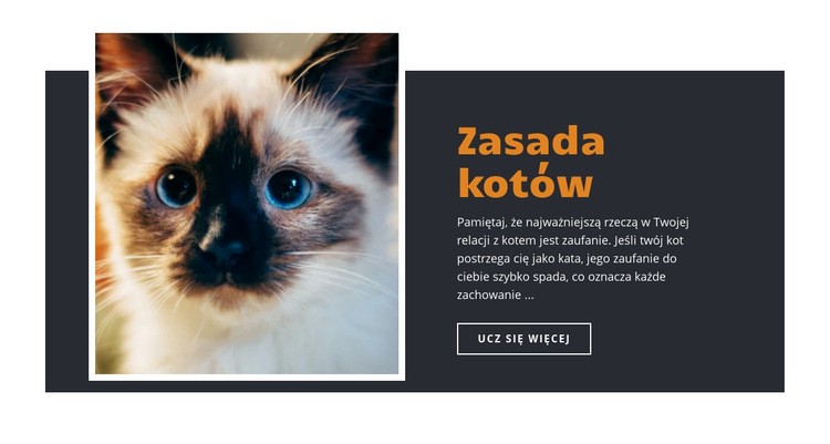 Zasady i wskazówki Kreator witryn internetowych HTML