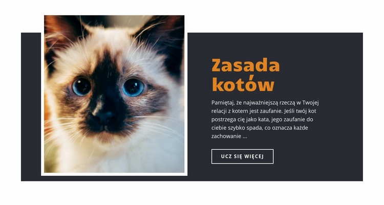 Zasady i wskazówki Wstęp