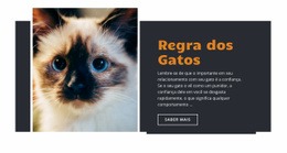 Regras E Orientação - Modelo Gratuito