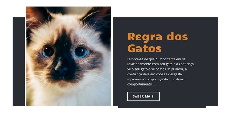 Regras e orientação Template CSS