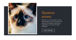 Правила И Руководство Адаптивный Шаблон HTML5