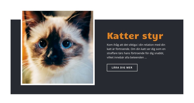 Regler och vägledning HTML-mall