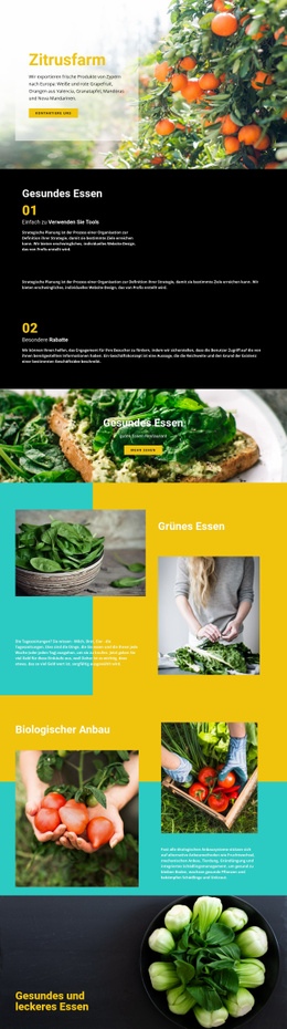 Gesunde Und Frische Lebensmittel - HTML Designer