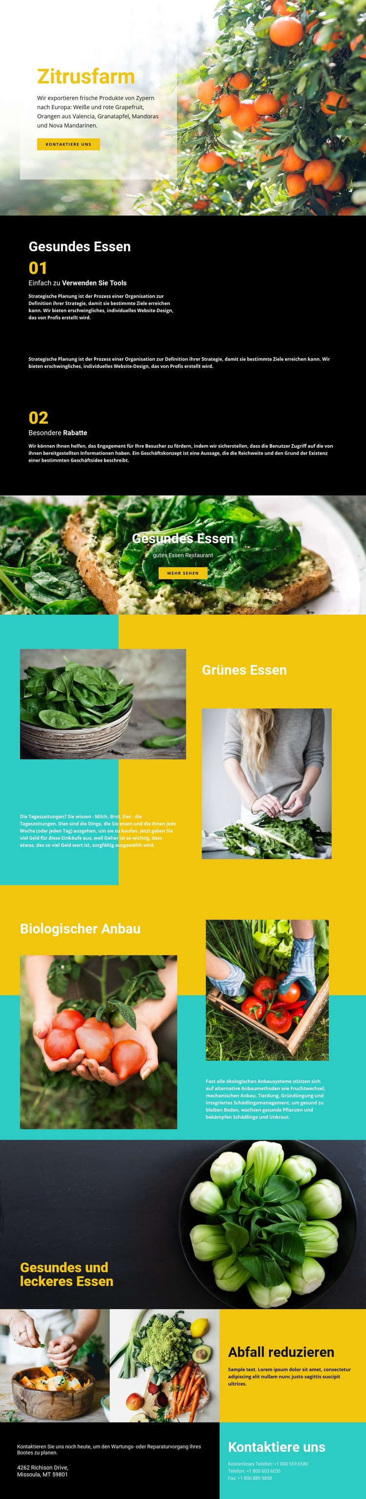 Gesunde und frische Lebensmittel Website design