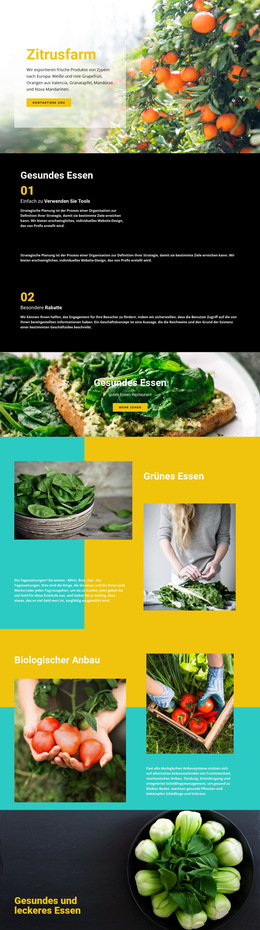 Gesunde Und Frische Lebensmittel – Fertiges Website-Design