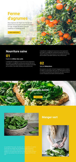Nourriture Saine Et Fraîche – Téléchargement Du Modèle HTML