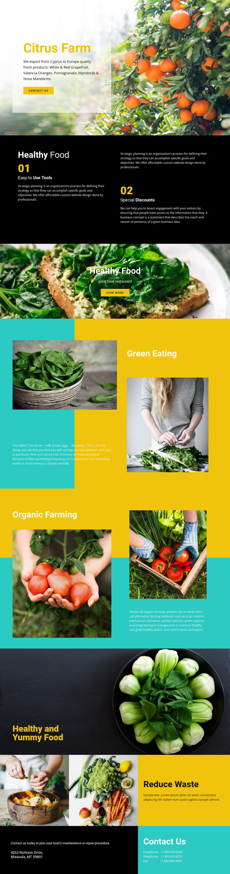 Healthy and fresh food Template