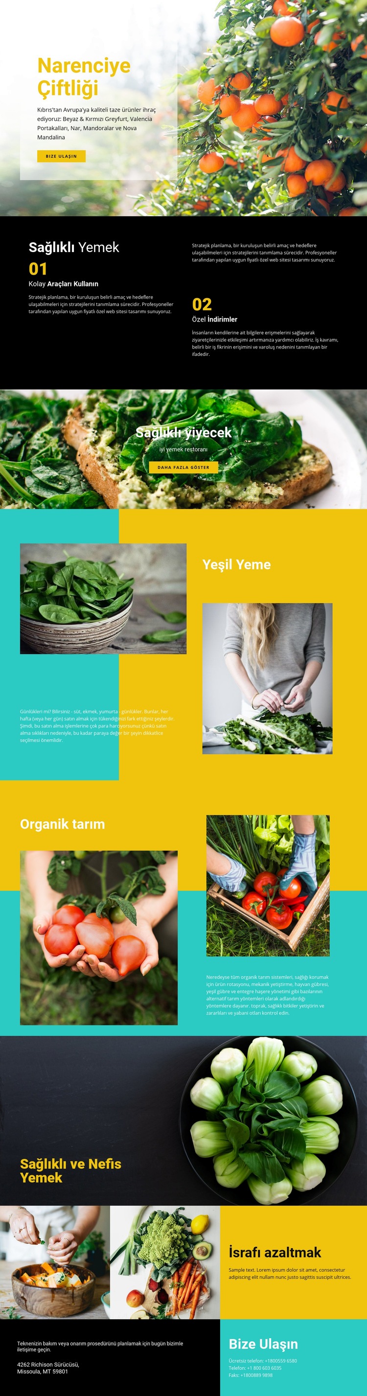 Sağlıklı ve taze yiyecek Bir Sayfa Şablonu