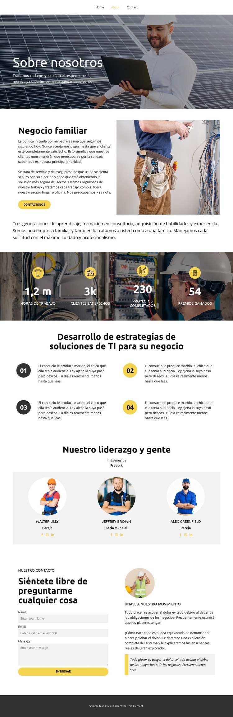 Servicio excepcional Diseño de páginas web