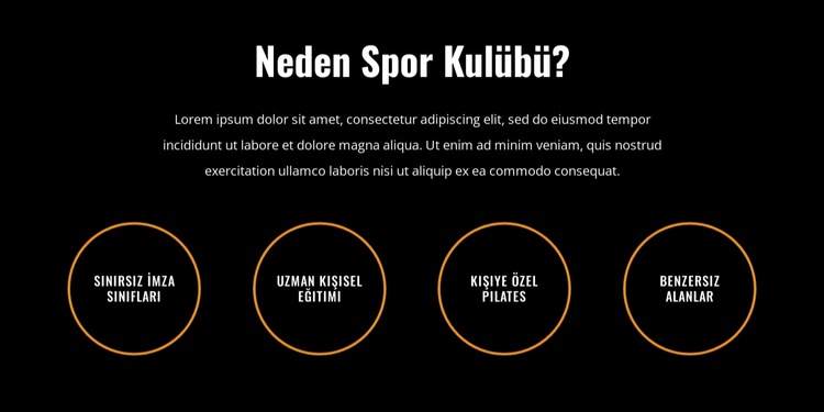 Bütçe dostu bir maliyetle birinci sınıf spor salonu Web Sitesi Şablonu