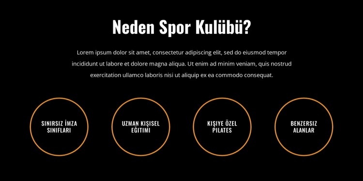 Bütçe dostu bir maliyetle birinci sınıf spor salonu Web sitesi tasarımı