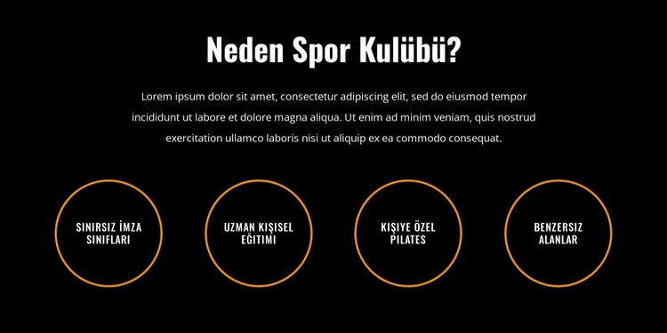 Bütçe dostu bir maliyetle birinci sınıf spor salonu WordPress Teması