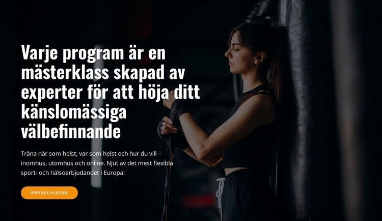 Program och masterclasses CSS -mall