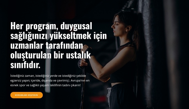 Programlar ve ustalık sınıfları WordPress Teması