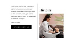 Histoire Du Salon De Beauté – Modèle Personnalisable