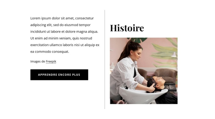 Histoire du salon de beauté Modèle de site Web