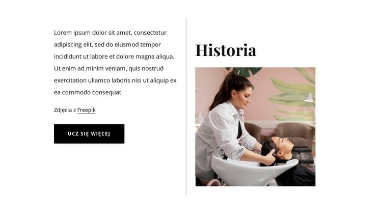 Historia salonu kosmetycznego Makieta strony internetowej