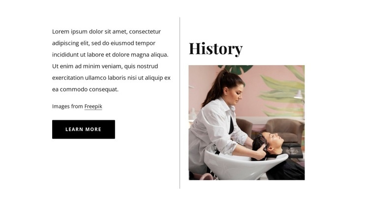 History of beauty salon Wysiwyg Editor Html 