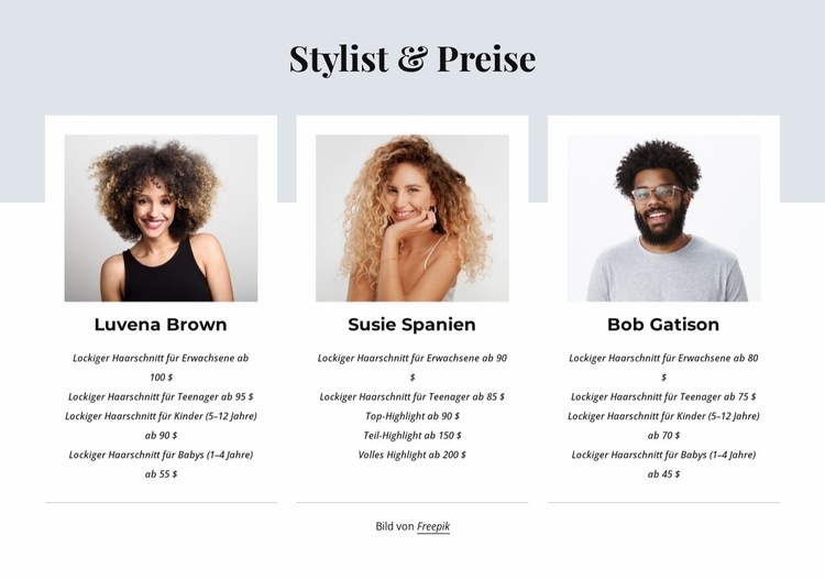 Stylist und Preise Website-Modell