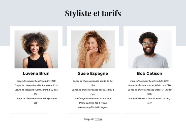 Styliste et tarifs Conception de site Web