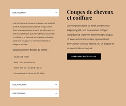 Coupes De Cheveux Et Stylisme : Modèle De Site Web Simple