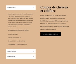 Coupes De Cheveux Et Stylisme Un Modèle De Page