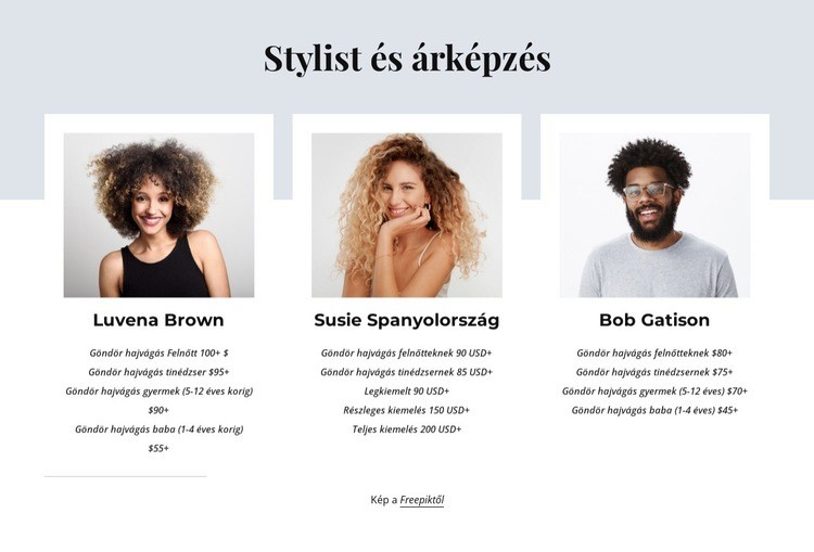 Stylist és árképzés CSS sablon