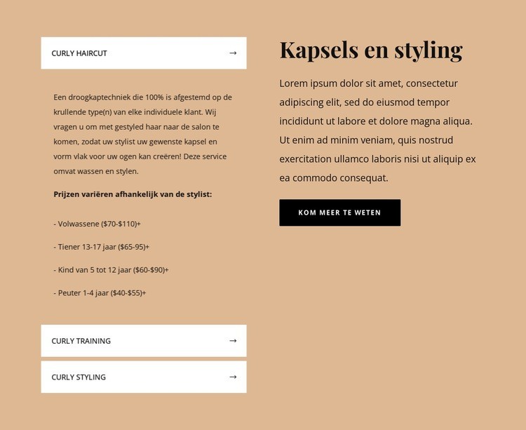 Kapsels en styling Website ontwerp