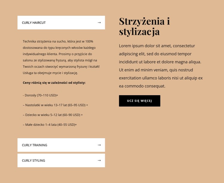 Strzyżenia i stylizacja Szablon CSS